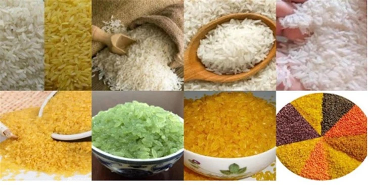 Artificial Rice Powder Making Machine