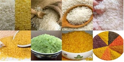 Gervi Konjac Rice Extruder Machine
